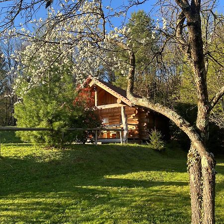 Hut At The Forest Male Brusnice Экстерьер фото