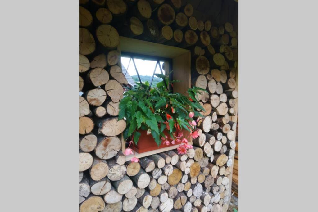 Hut At The Forest Male Brusnice Экстерьер фото
